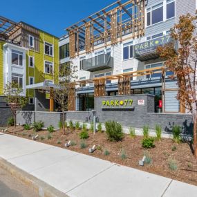 Apartment Building View