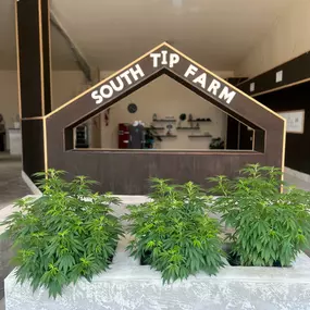 Bild von South Tip Farm Stand