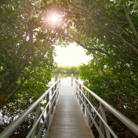 Boardwalk at Upper Tampa Bay Park in Tampa, FL near Camden Bay, Camden Westchase Park, and Camden Montague