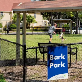 Large dog park