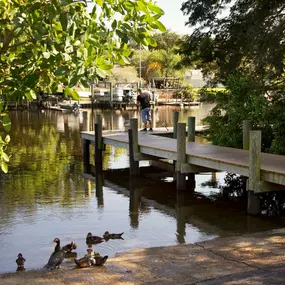 Fishing dock and boat launch to tampa bay