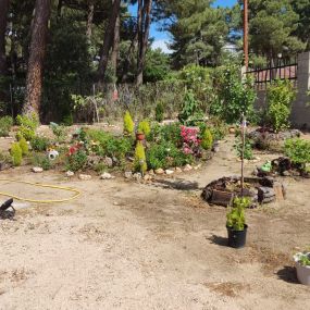 jardineria_segovia-5.jpg