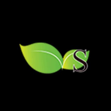 Logo von SLENT