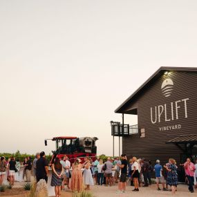 Bild von Uplift Vineyard