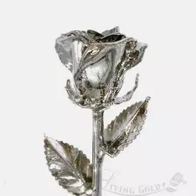 Gold & Platinum-Dipped Roses - Improve your interior living space of your home or office with beautiful 24K gold-dipped or platinum-dipped roses.