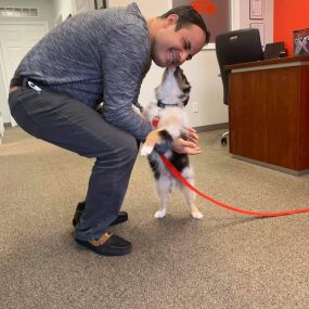 Bring your dog to work day!