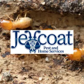 Bild von Jeffcoat Pest & Home