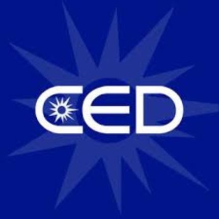 Logo from CED Enterprise Electric, Inc.