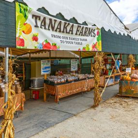 Neighborhood farmers market tanaka farms