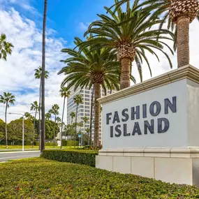 Neighborhood shopping at fashion island