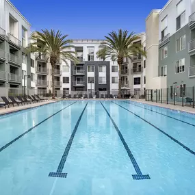 camden main and jamboree apartments irvine ca junior sized olympic pool