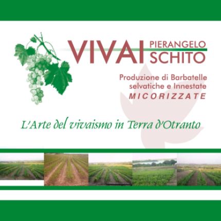 Logotyp från Vivaischito