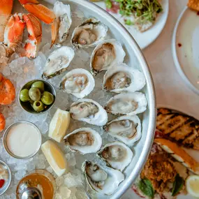 Fresh oysters on our daily happy hour