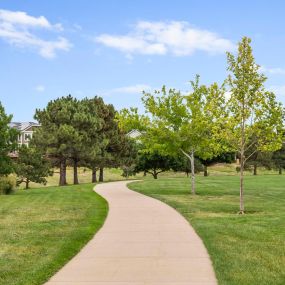 Enjoy the Walking Trails at Falcon Park