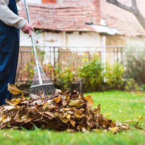 Seasonal Cleanups