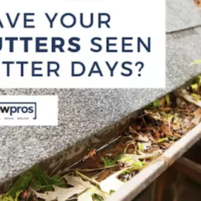 Having blocked gutters can cause water to build up and even seep into your roof, causing real damage. Don't risk roof damage, let CrewPros clean out your gutters!