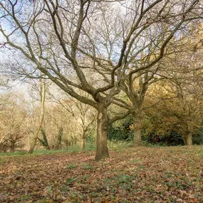 Bild von Bright Horizons Sonning Lane  Day Nursery and Preschool