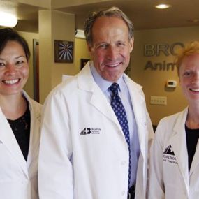 The caring and experienced team at VCA Broadway Animal Hospital and Pet Center!