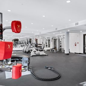 Camden Crest Apartment Fitness Center Boxing Equipment