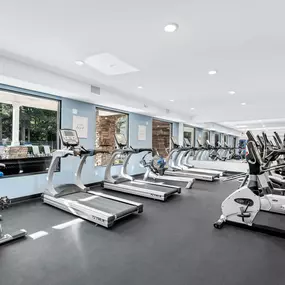 Camden Crest Apartment Fitness Center Cardio Equipment