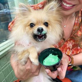 Our frozen drinks aren’t just for grown ups anymore! Be sure to ask your server about a puparitas for your four legged friend when you dine on the patio or add one to your online order when you arrive for pick up.