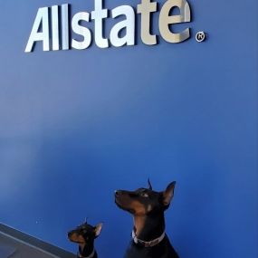 Bild von Britt Stender: Allstate Insurance