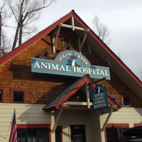 Welcome to VCA Spring Creek Animal Hospital!