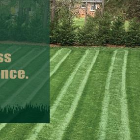At US Lawn & Landscape we will customize a treatment schedule specifically for your lawn and its needs. Including; 
Seeding, Core aeration, Slow-Release Fertilization, Sodding, Weed control, De-thatching