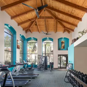 Fitness center with weights and cardio machines