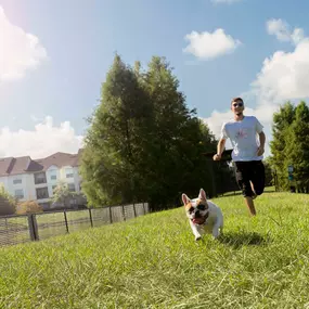 Gated dog park