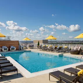 Rooftop swimming pool with city views