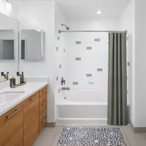 Large Bathrooms with Bathtub and Shower