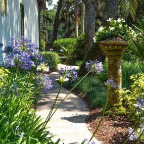 Bild von Beautiful Blooms Landscaping