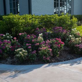 Bild von Beautiful Blooms Landscaping