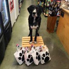 Bild von Ma & Paws Pet Supplies