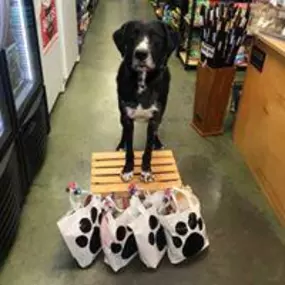 Bild von Ma & Paws Pet Supply Co.