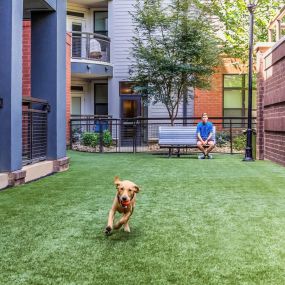 Dog park at Camden Gallery Apartments in Charlotte, NC