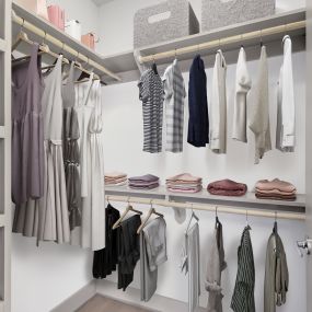 Walk-in closet at Camden Gallery Apartments in Charlotte, NC