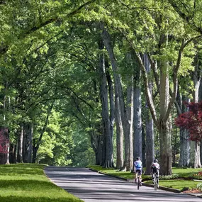 Nearby neighborhood trails