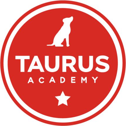 Logo da Taurus Academy Lamar