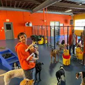 Urban Pooch Training & Fitness Center is a locally owned family operated business in  US States, Capitals, and Government Links Illinois. We are a one-stop pet store offering a personalized customer experience to every visitor that walks through our door.