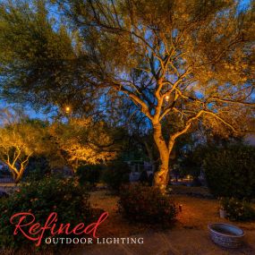 Hanging tree twinkle lights install in North East Scottsdale