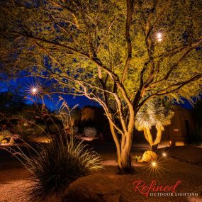 Landscape lighting design in Rio Verde, Arizona