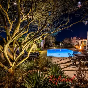 Backyard landscape lighting in Paradise Valley, AZ