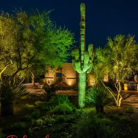 green LEDs on saguaro