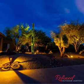 Landscape lighting in Rio Verde, Arizona