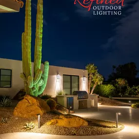 Saguaro cactus lighting in Paradise Valley, Arizona