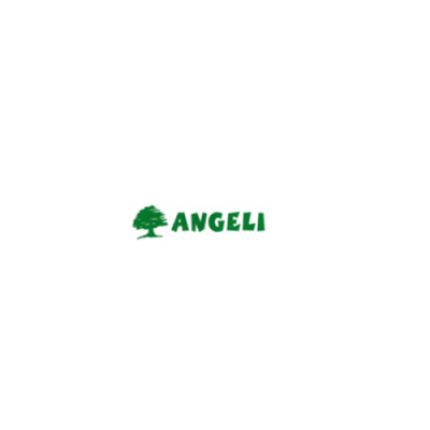 Logotipo de Piante Angeli di Angeli Federico