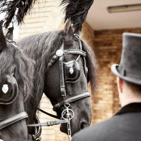 A N Abraham Funeral Directors horse drawn hearse