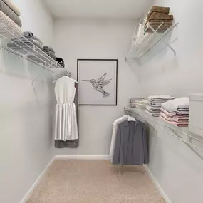 Walk in closet